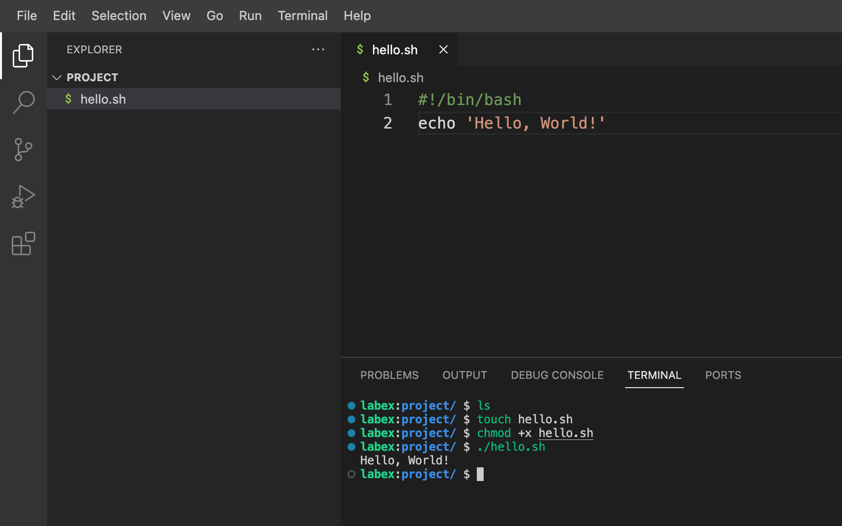 Salida de la ejecución del script en el terminal