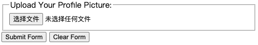HTML form with file upload and buttons