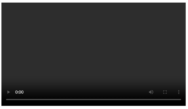 HTML-Videoelement mit Steuerelementen