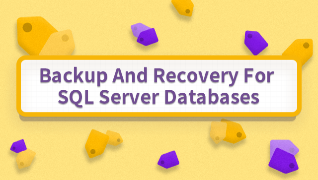 Backup and Recovery for SQL Server Databases | LabEx