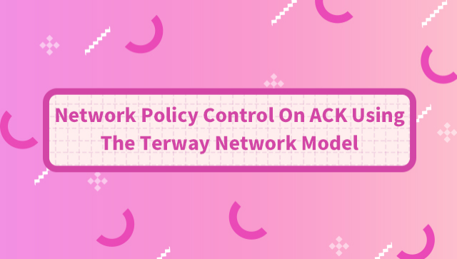Network Policy Control On ACK Using The Terway Network Model
