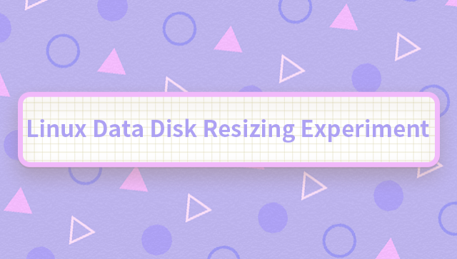Linux Data Disk Resizing Experiment