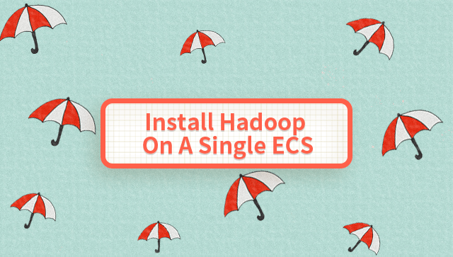 Install Hadoop On A Single ECS