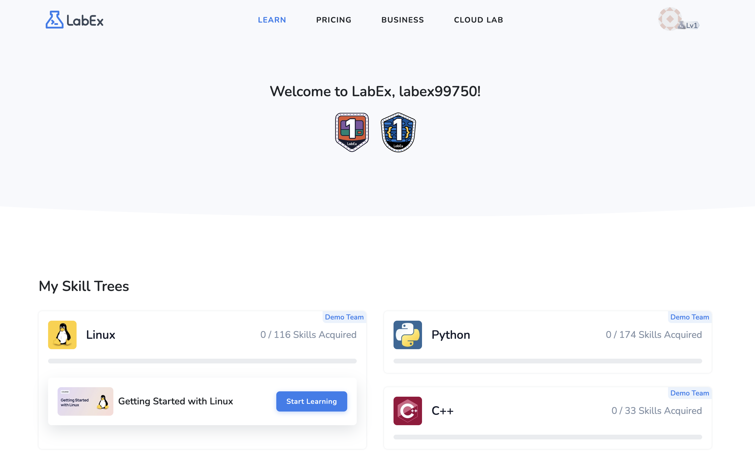 LabEx Team Quick Start Guide | LabEx